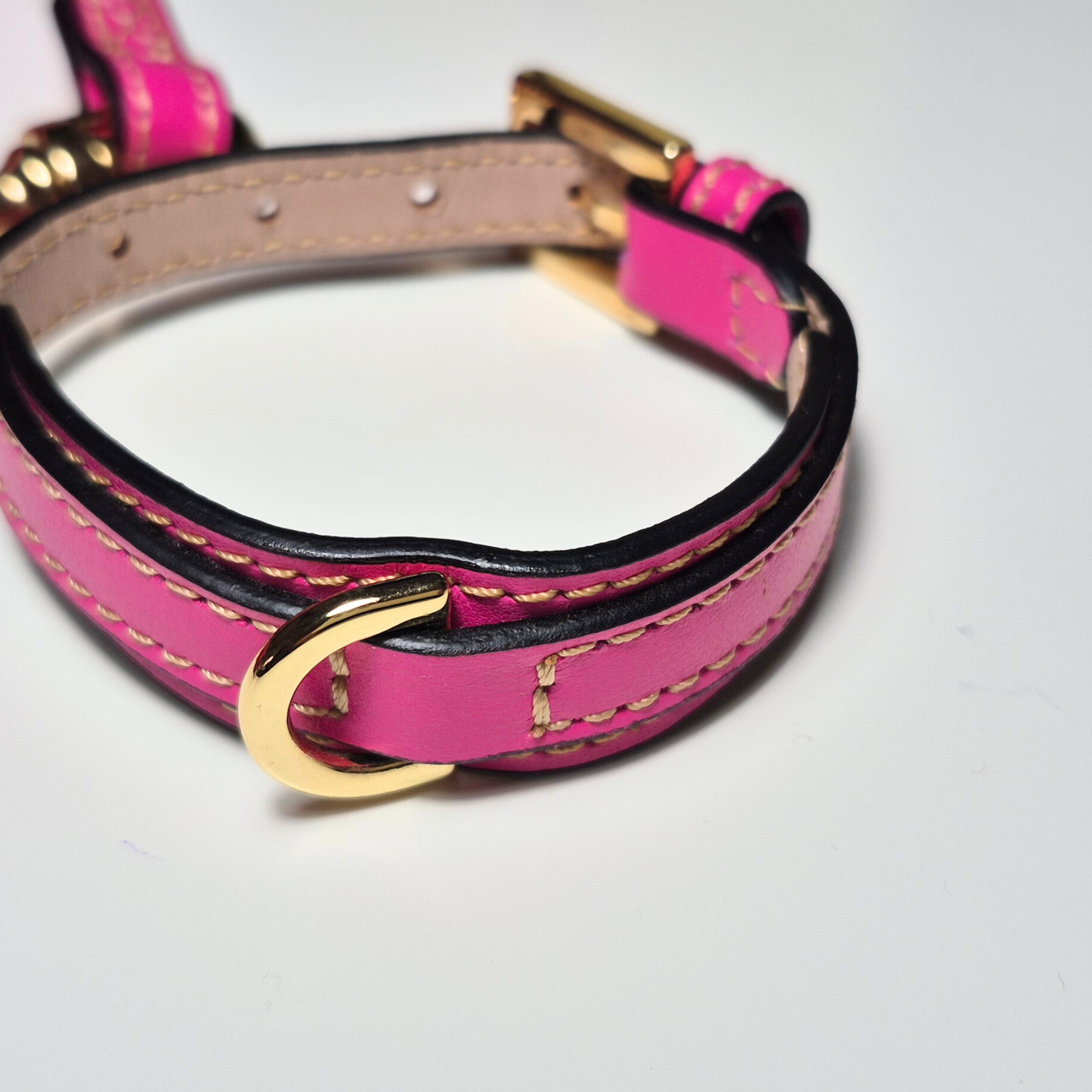 Set Collare e Guinzaglio in Pelle con Porta Sacchetti